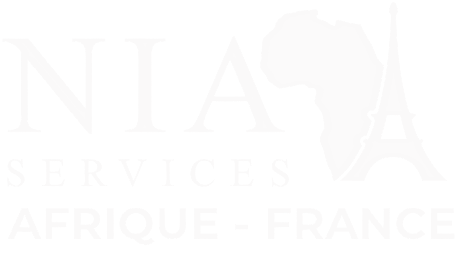 Logo NIA Services Afrique–France